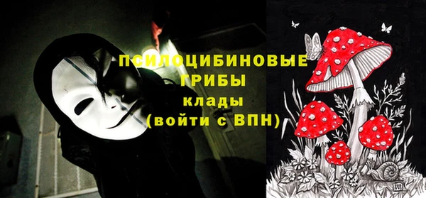 хмурый Абаза